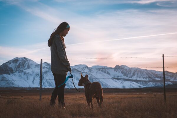 Friendship Forging: Unexpected Bonds In The Modern World
