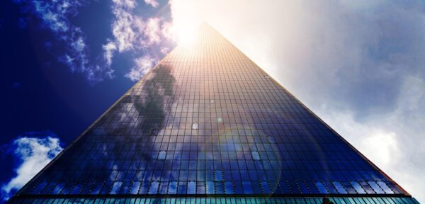 Beyond Engagement: Fostering Authentic Employee Ecosystems