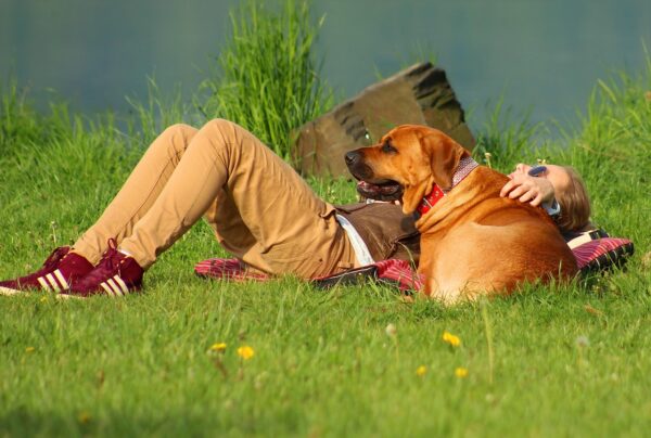 Friendship Trials: Navigating Shifting Sands Together