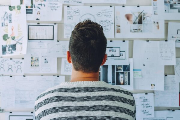 Beyond Growth: Engineering Sustainable Business Ascent