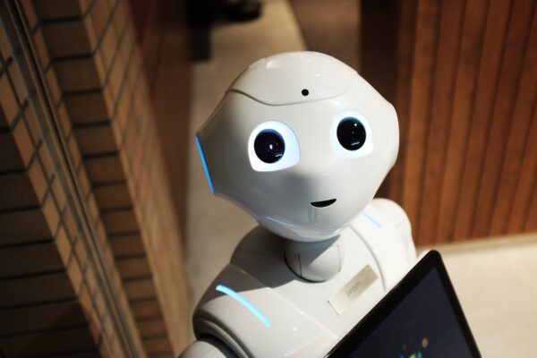 AIs Cognitive Blind Spots: Securing The Future