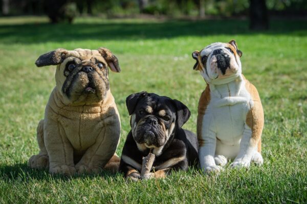 Beyond Blood: The Science Of Enduring Friendships