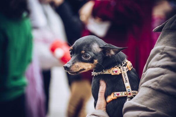 Beyond Nice: Cultivating Authentic Friendly Workplace Dynamics