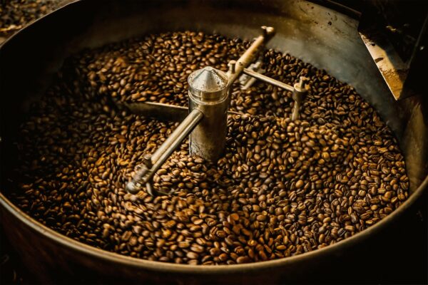 Decoding Marketing: Uncommon Tactics For Outsized Impact