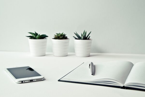 Nurturing Growth: Positive Spaces For Thriving Minds
