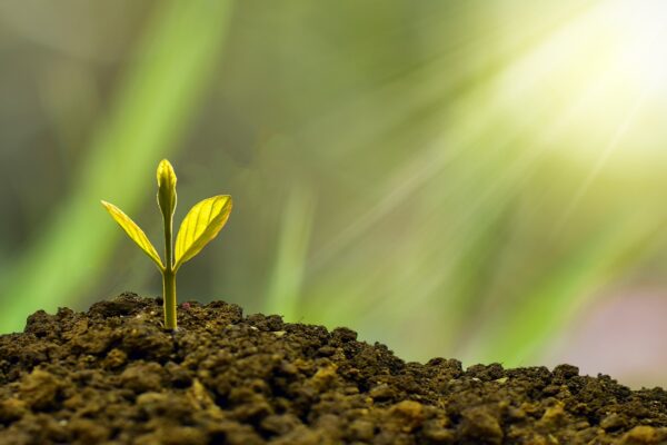Beyond Satisfaction: Building Client Relationships That Last