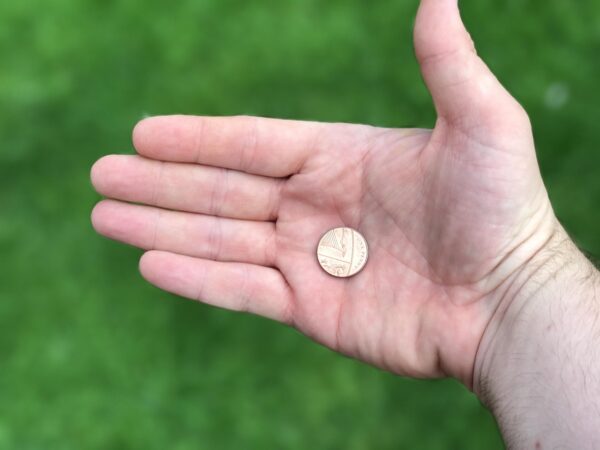 Beyond The 9-to-5: Reimagine Your Income Streams